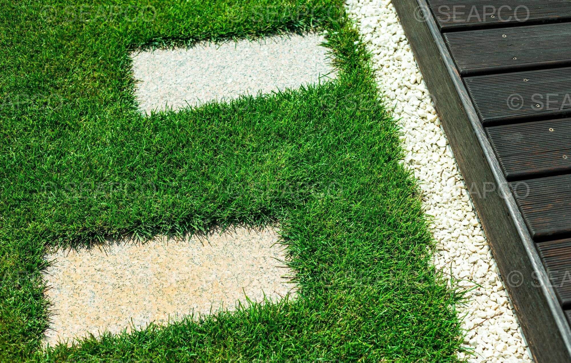 Artificial grass in landscaping